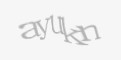 Защитный код